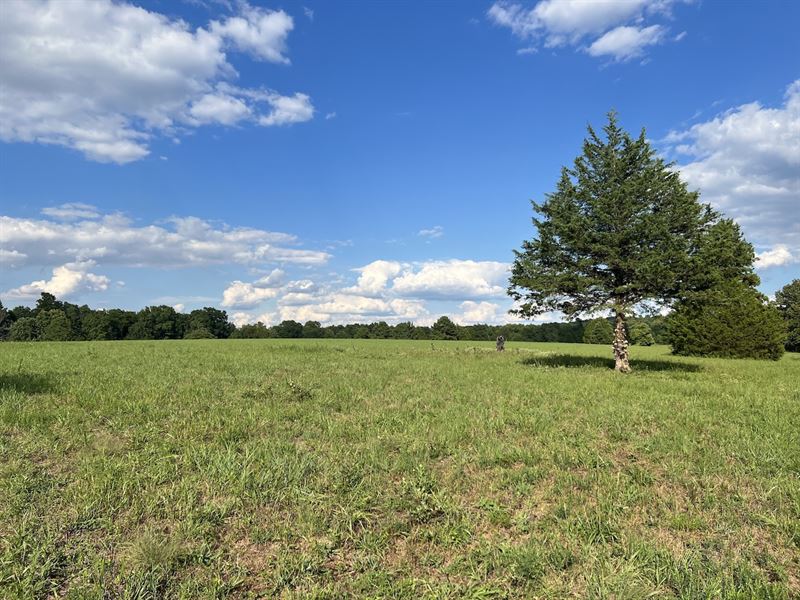Farm for Sale, Douglas County, MO : Ava : Douglas County : Missouri