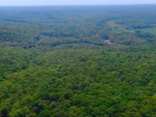 No Credit Check On MO Land : Camdenton : Hickory County : Missouri