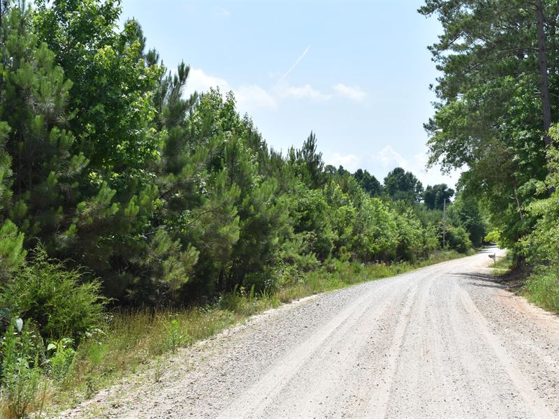 Whitewater Tract 6 : Glenn : Heard County : Georgia