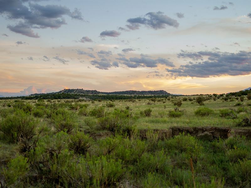 East Hatchet Ranch : Pueblo : Pueblo County : Colorado