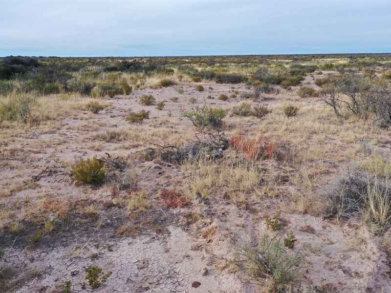 Put Gunsight Ranch in Your Sights : Sierra Blanca : Hudspeth County : Texas