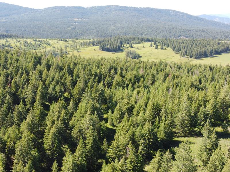 Colville Deer Camp : Colville : Stevens County : Washington