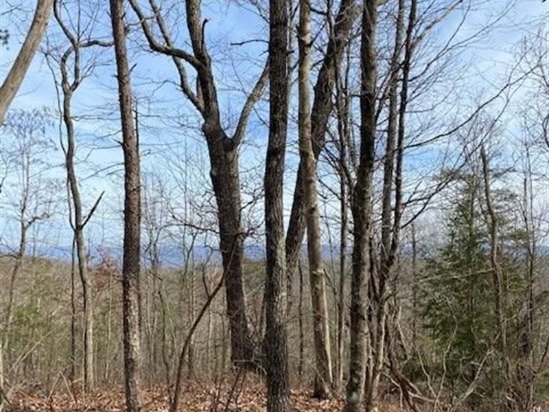 13+/- Acres Unrestricted Property : Pikeville : Bledsoe County : Tennessee