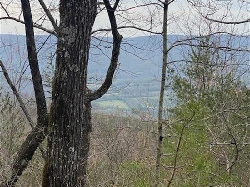21+/- Acres Unrestricted Property : Pikeville : Bledsoe County : Tennessee
