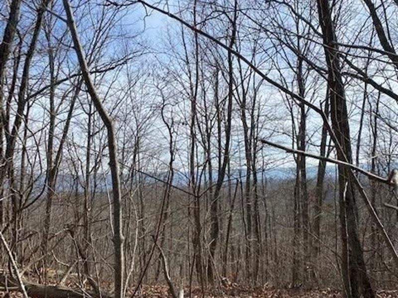 46+/- Acres Unrestricted Property : Pikeville : Bledsoe County : Tennessee