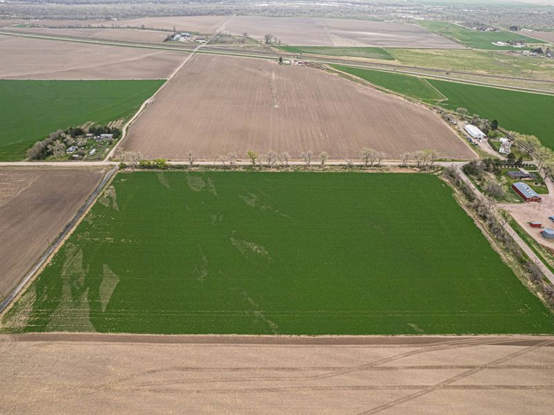 Big Red Farms, T23 Sinks N.E.W : Bayard : Scotts Bluff County : Nebraska