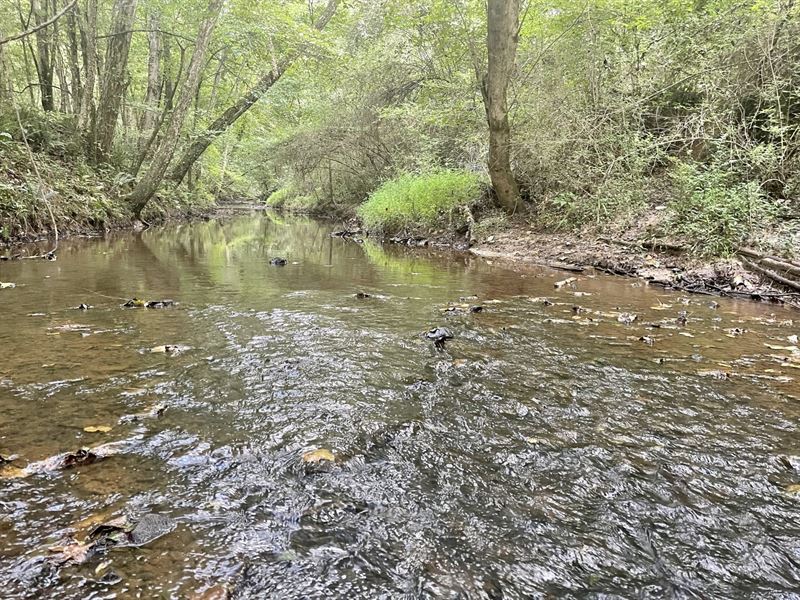 Trestle Creek Tract, Temple GA : Temple : Carroll County : Georgia