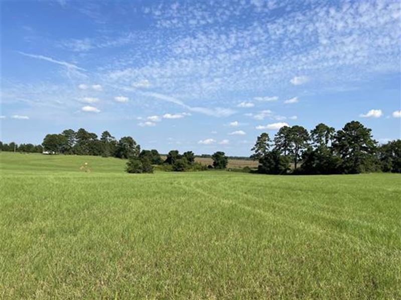 87 Acres of Pastureland Available : Cochran : Bleckley County : Georgia