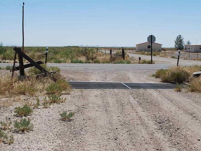 Off-Grid Living is an Adventure : Deming : Luna County : New Mexico