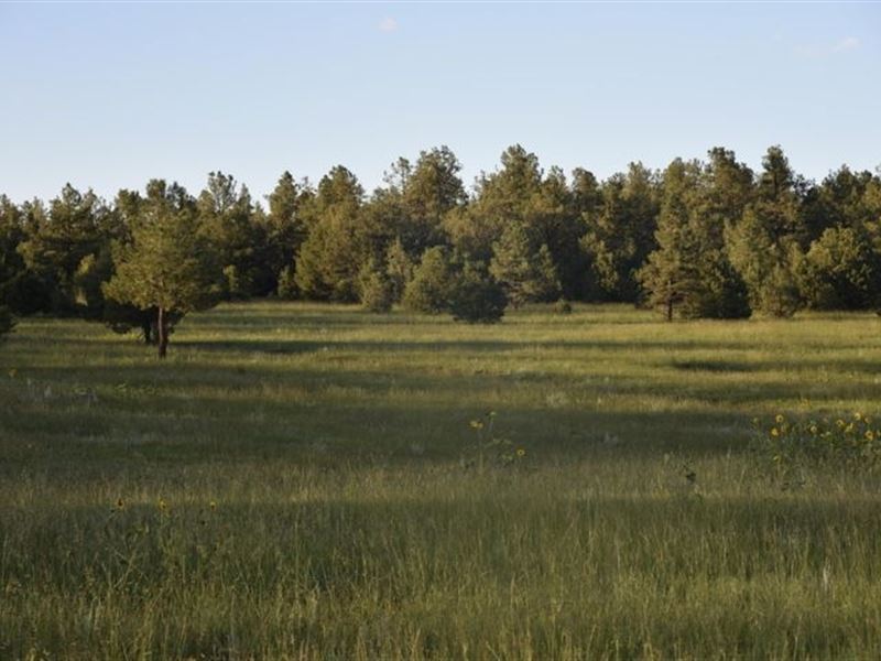 21270 Spirit Mountain Drive Filing : Aguilar : Las Animas County : Colorado