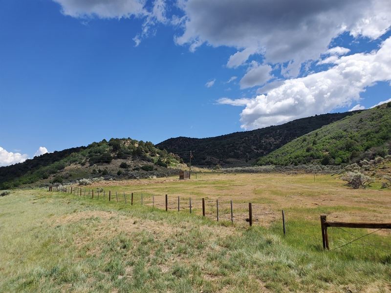 Rio Blanco Hill 17 : Meeker : Rio Blanco County : Colorado