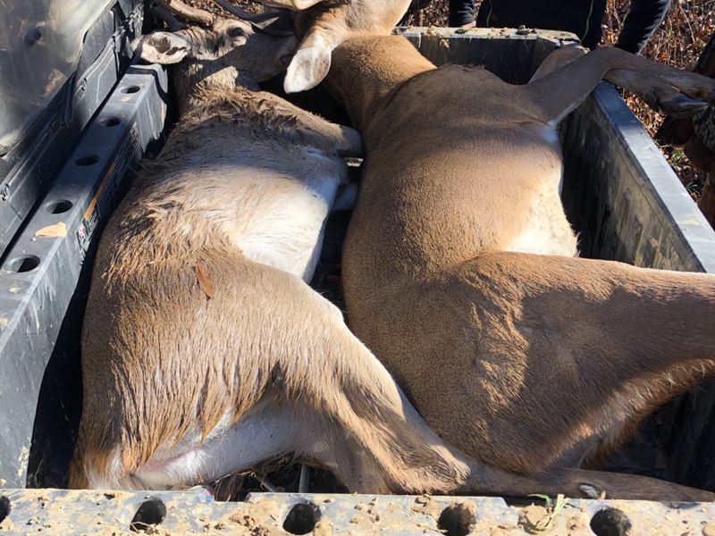 Thompson Lake : Vicksburg : Warren County : Mississippi