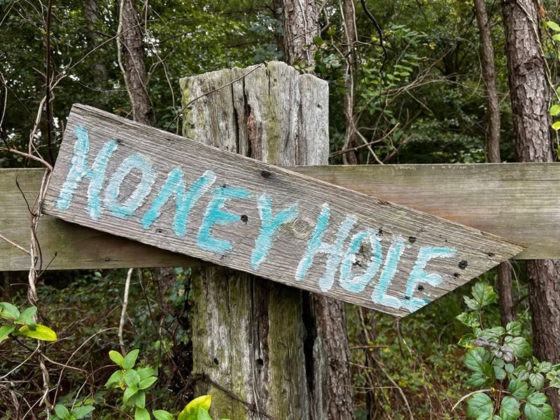 27.06 Acre Honey Hole in Madison Co : Flora : Madison County : Mississippi