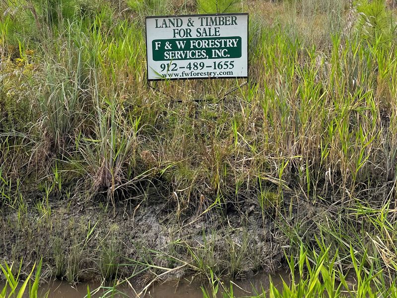 Waycross Woodlands, 3E : Glenmore : Ware County : Georgia