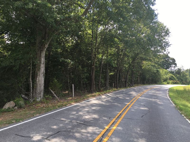 New 71 Acres, Hellams : Gray Court : Laurens County : South Carolina