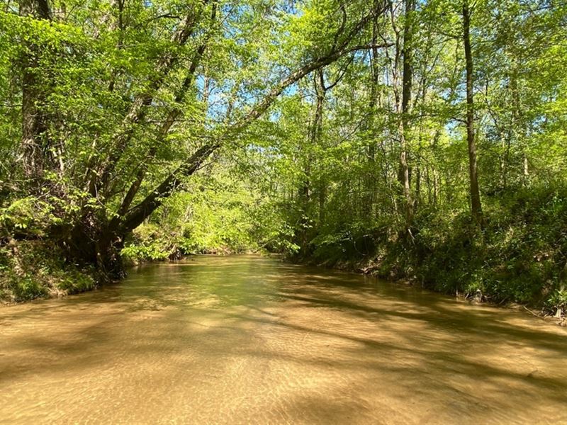 Falling Creek Farms 6b : Elberton : Elbert County : Georgia