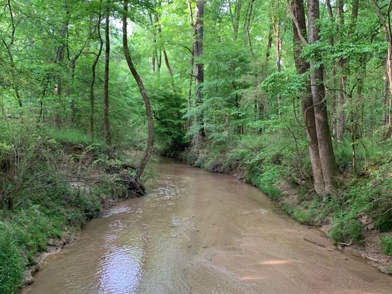 Falling Creek Farms 6a : Elberton : Elbert County : Georgia