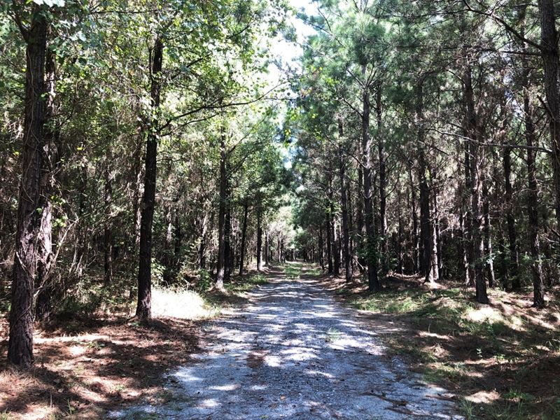 Homesite/Hunting/Recreation : Dexter : Laurens County : Georgia