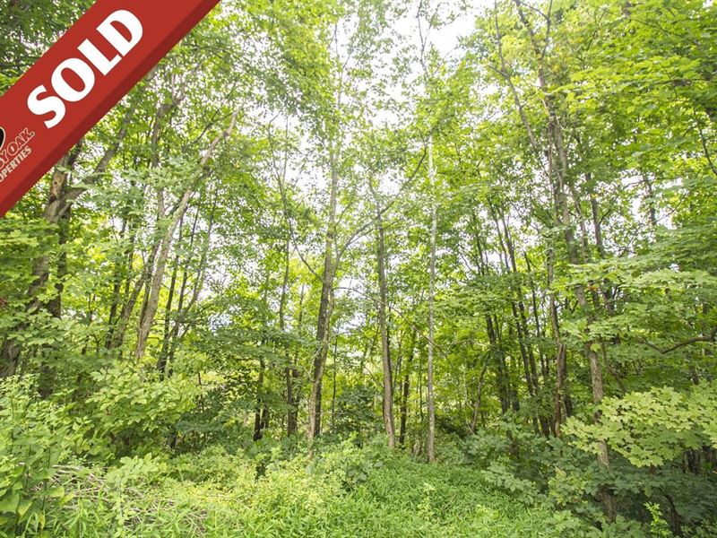 Groves Hill Rd, 24 Acres, Noble : Caldwell : Noble County : Ohio