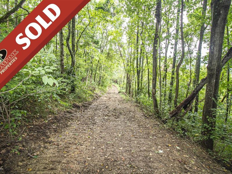 Teeters Ridge Rd, 52 Acres, Noble : Caldwell : Noble County : Ohio