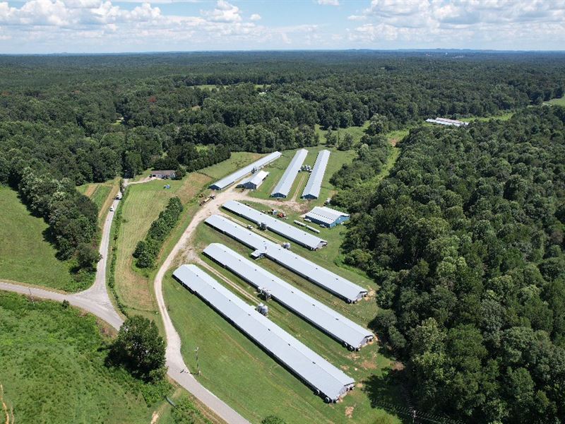 Hurricane Valley Farm : Dawsonville : Dawson County : Georgia