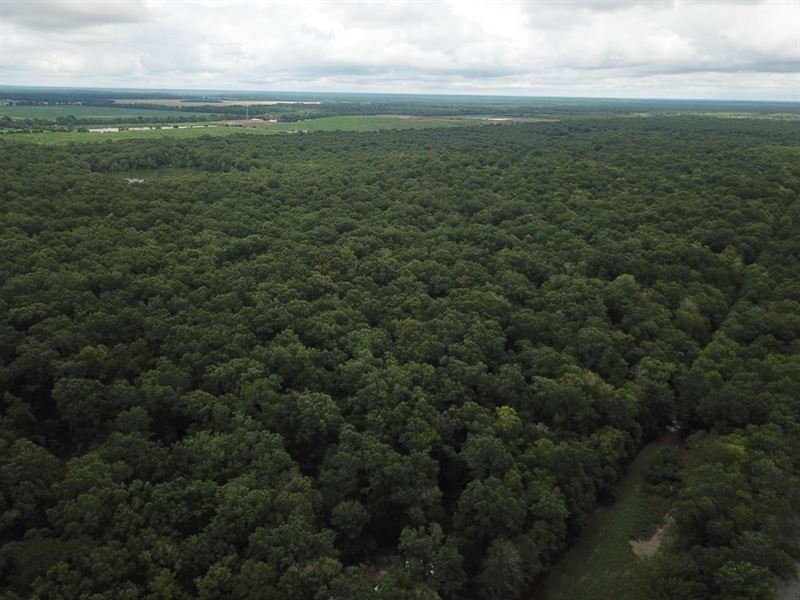 La, Ouachita 235 Acres : Monroe : Ouachita Parish : Louisiana