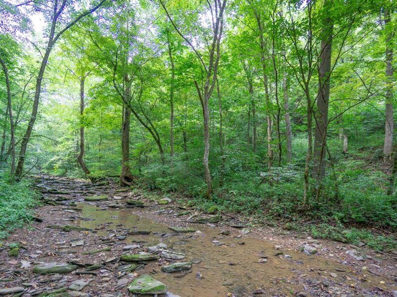 Boltz Hill Rd, 93 Acres, Monroe : Clarington : Monroe County : Ohio