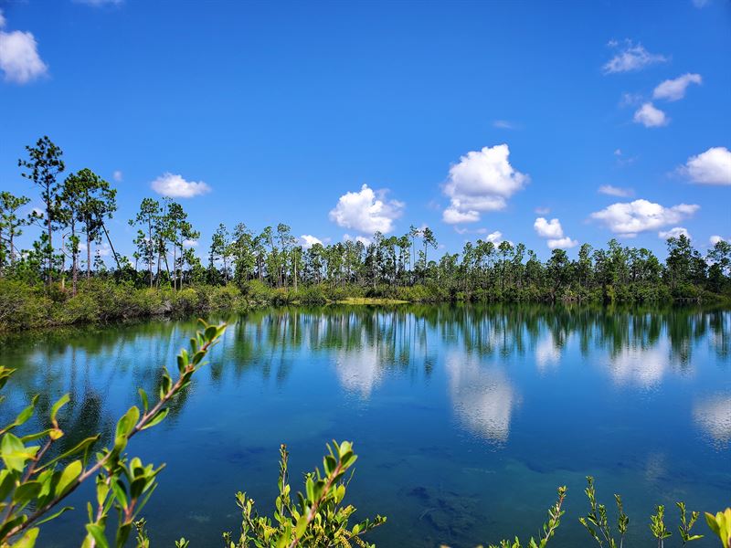Bay County, Florida Land : Panama City : Bay County : Florida