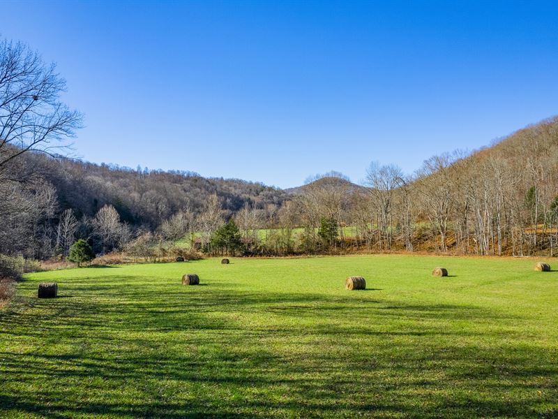 249+/- Wooded Acres with Timber : Rickman : Putnam County : Tennessee