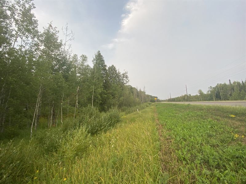 10 Wooded Acres with Power : Cook : Saint Louis County : Minnesota
