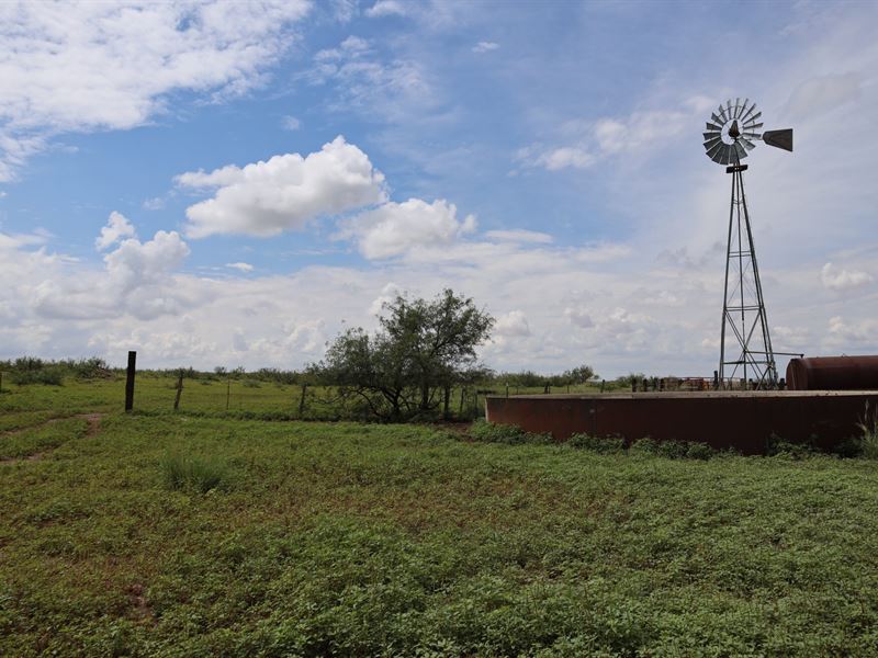 Quail Meadow Ranch : Faywood : Grant County : New Mexico