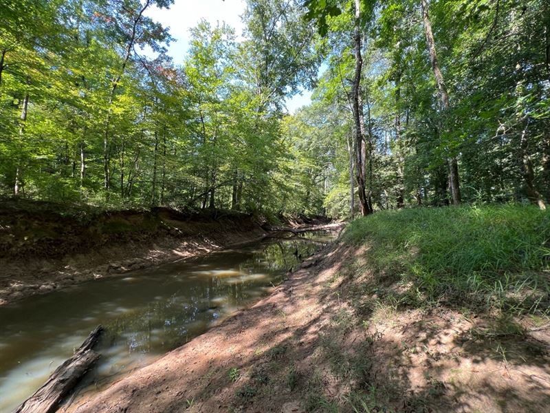Saline Bayou 310, Land for Sale Bi : Cotton Valley : Bienville Parish : Louisiana
