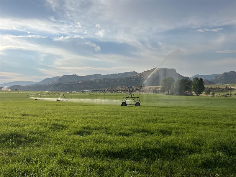 G Lazy 5 Hay & Cattle Ranch : Kimberly : Grant County : Oregon