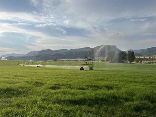 G Lazy 5 Hay &amp; Cattle Ranch, Ranch for Sale in Oregon, #330843 