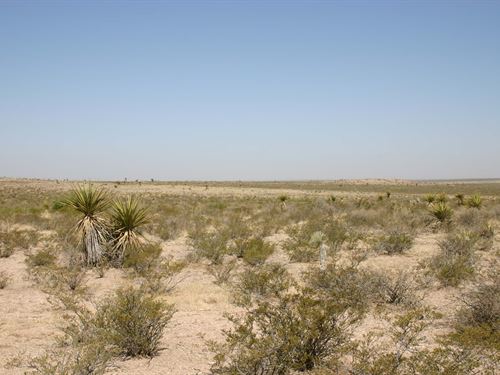 Beautiful TX 20 Acre Ranch Property : Sierra Blanca : Hudspeth County : Texas