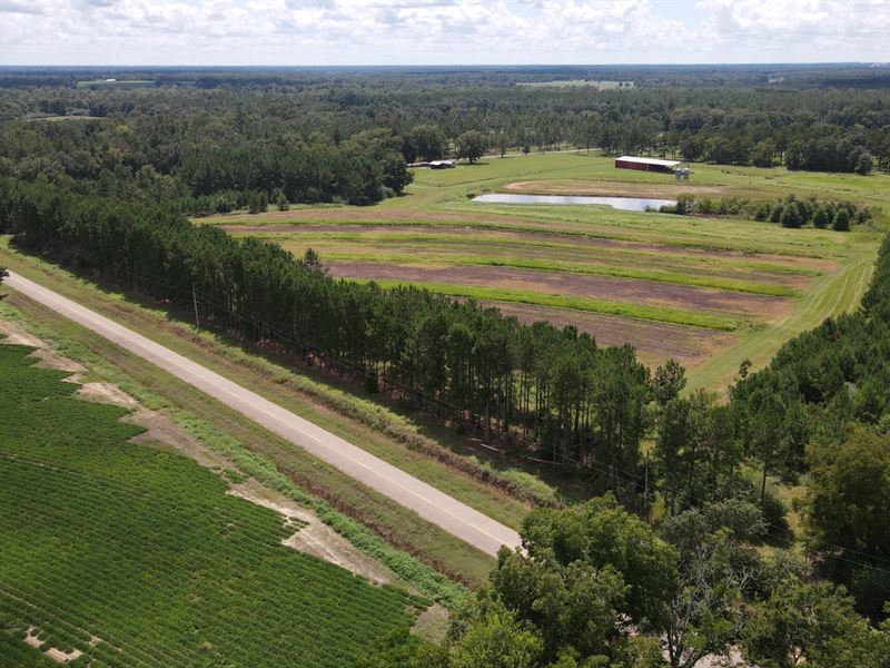 Great Small Farm in Great Location : Pansey : Houston County : Alabama