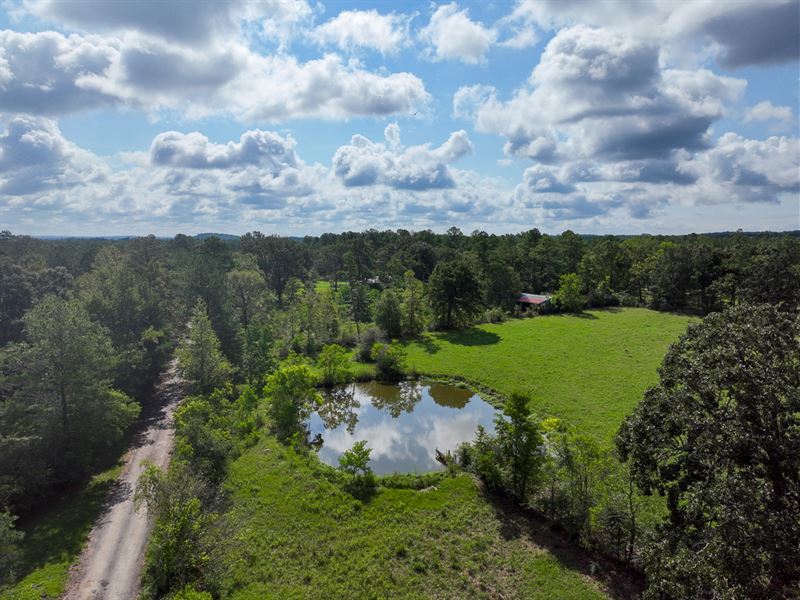 126 Acres, T-2 CR 3910 : Colmesneil : Tyler County : Texas