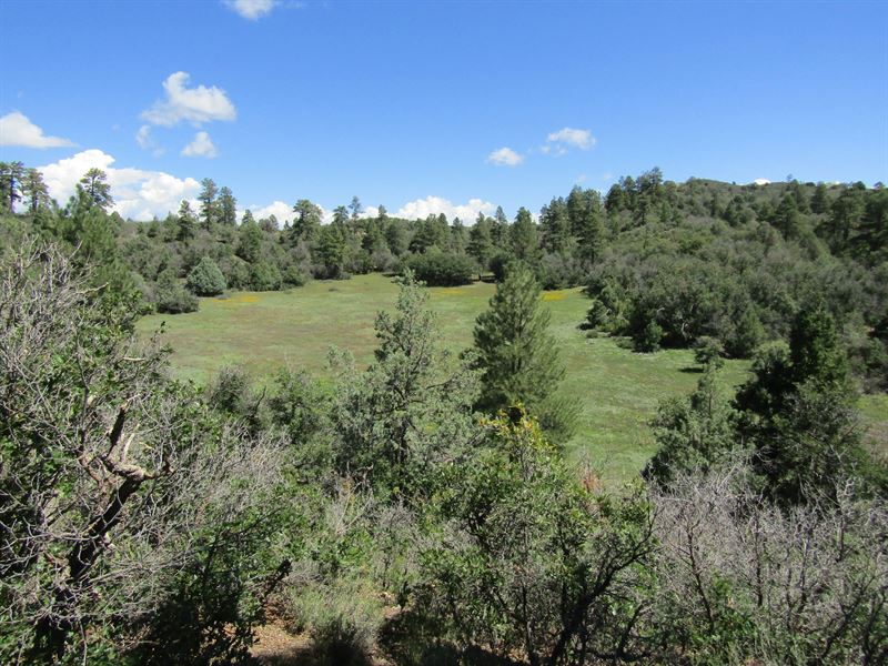 Sivers Ranch : Pagosa Springs : Archuleta County : Colorado