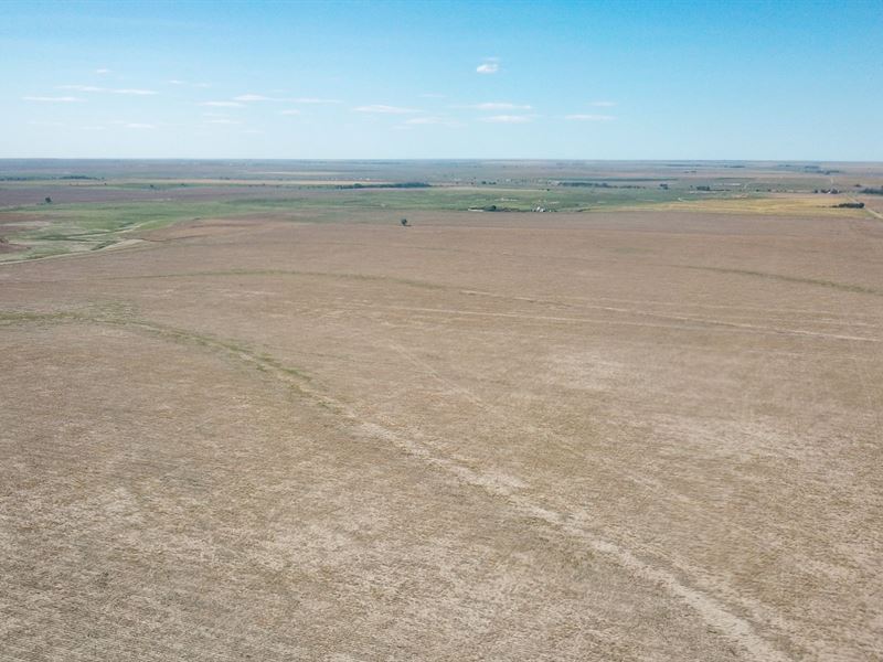 Gove/Lane County Line 159 : Gove : Gove County : Kansas