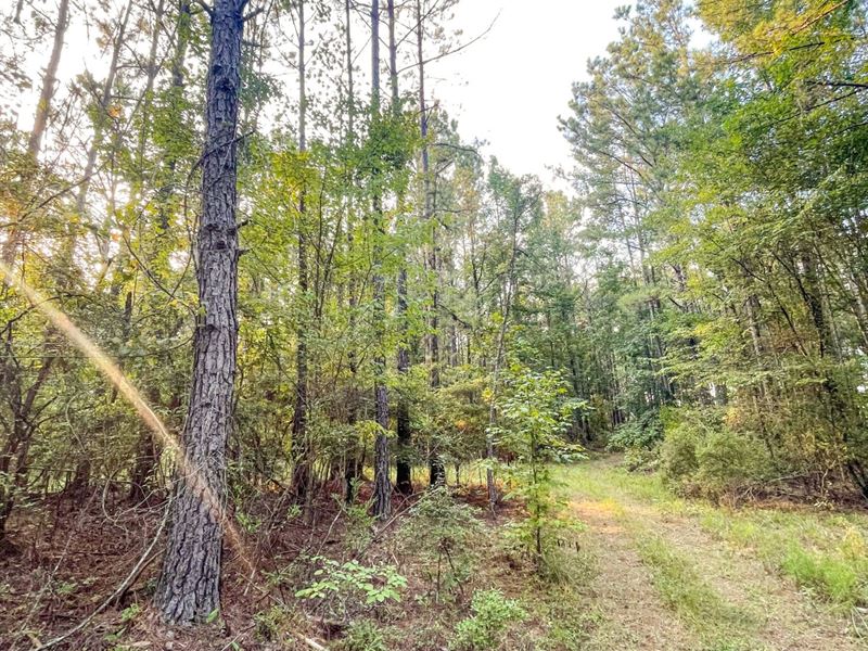 40 Ac in Russell County : Seale : Russell County : Alabama