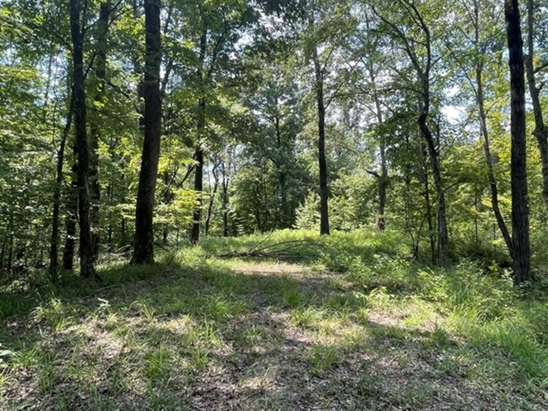 46 Acres in Hinds County in Bolton : Bolton : Hinds County : Mississippi