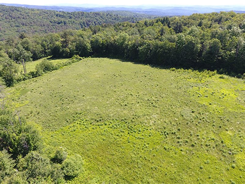 Old Farmstead Forest, Lot Four : Springfield : Windsor County : Vermont