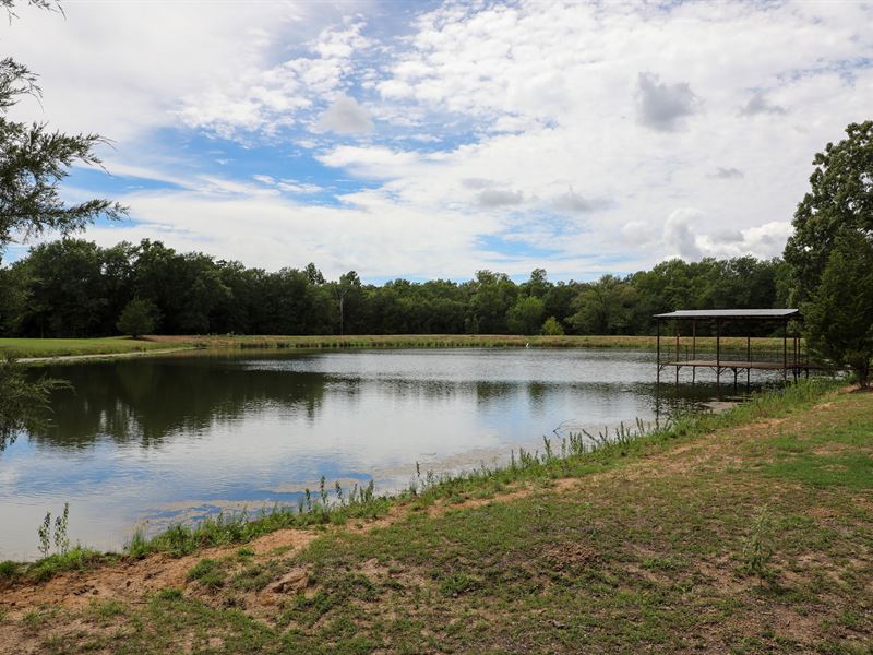 Razor Road Ranch : Arthur City : Lamar County : Texas