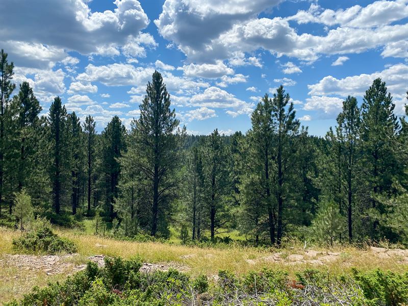 Canyon Springs Retreat : Four Corners : Weston County : Wyoming