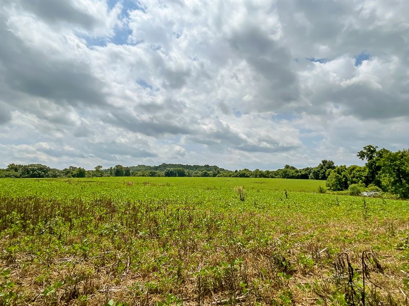 Muskingum County, OH Land for Sale : New Concord : Muskingum County : Ohio