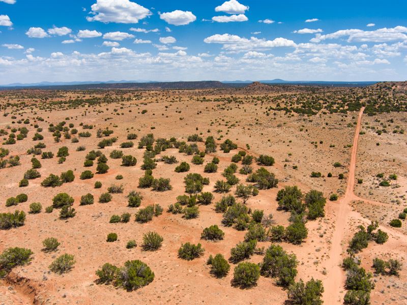 Clear Skies & Coveted Privacy : Snowflake : Navajo County : Arizona