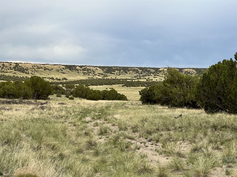 324 Acres in Las Animas County, CO : Model : Las Animas County : Colorado
