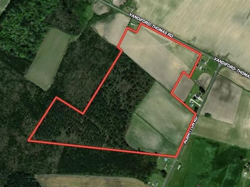 Reduced, 60.75 Acre Farm and Timb : Snow Hill : Greene County : North Carolina