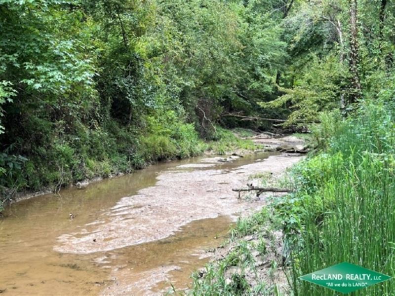 70.4 Ac, Deer & Turkey Hunting : Port Gibson : Claiborne County : Mississippi