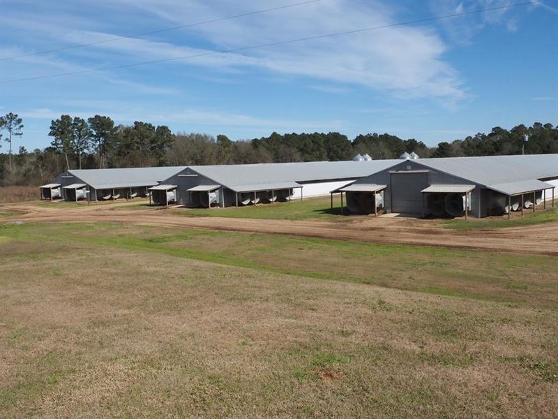 6 House Poultry Broiler Farm with 5 : McComb : Pike County : Mississippi
